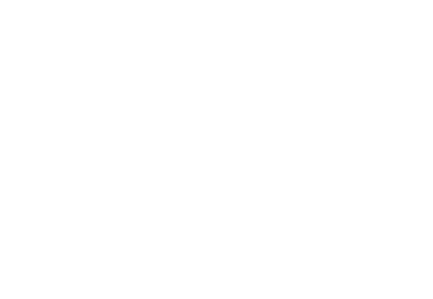 Metroman Handyman Services logo